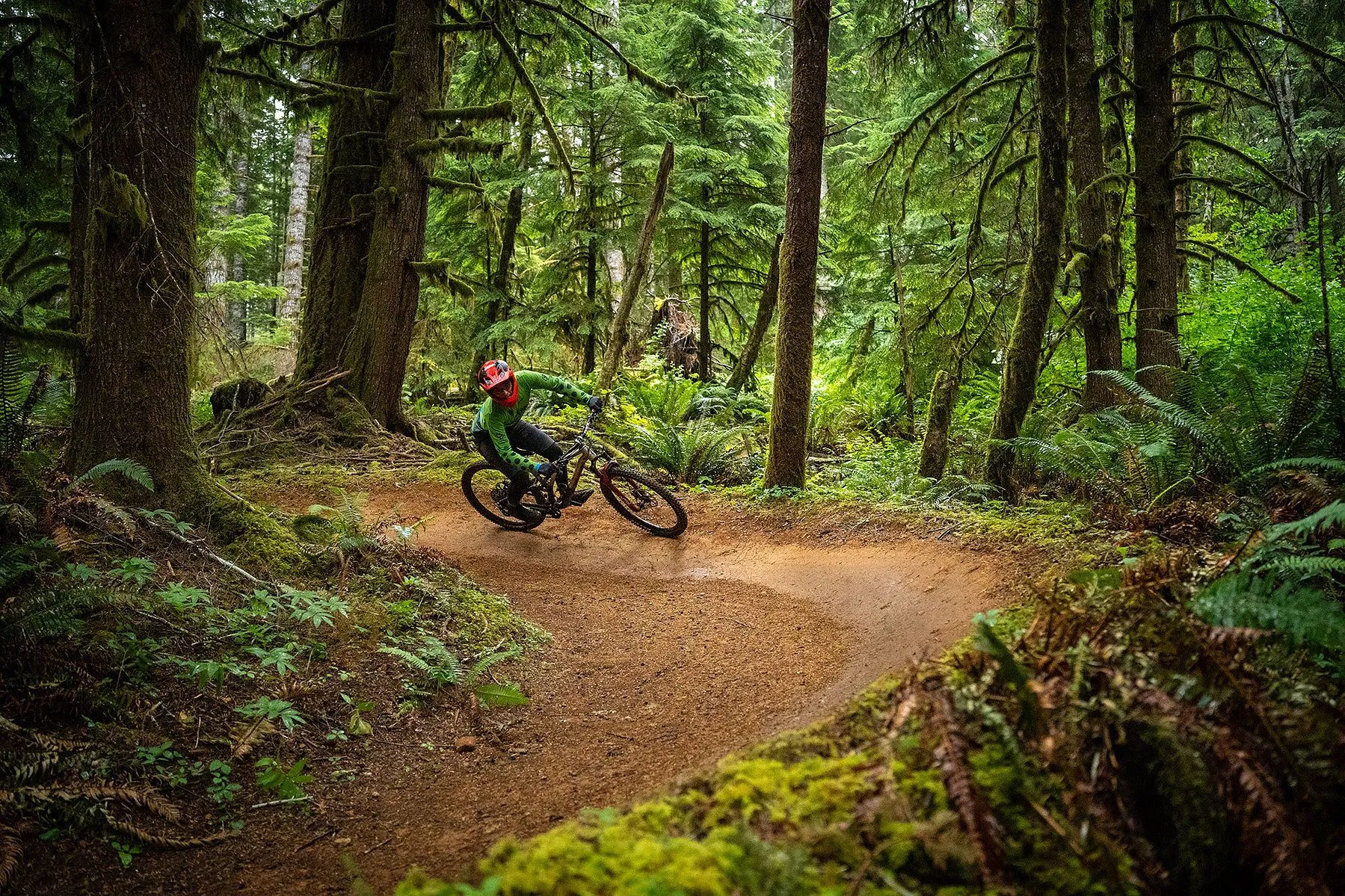 Action from Alsea Falls Trail System